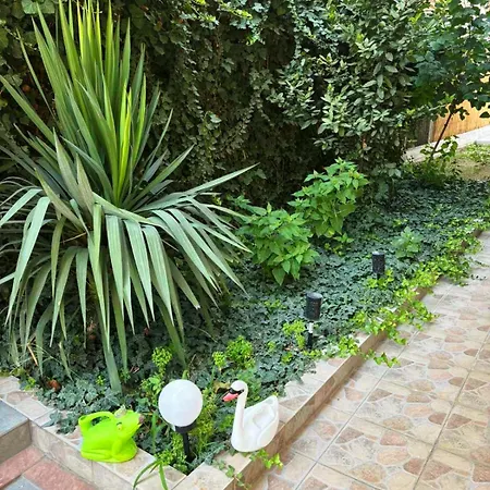 Nikol * Olympiakí Aktí